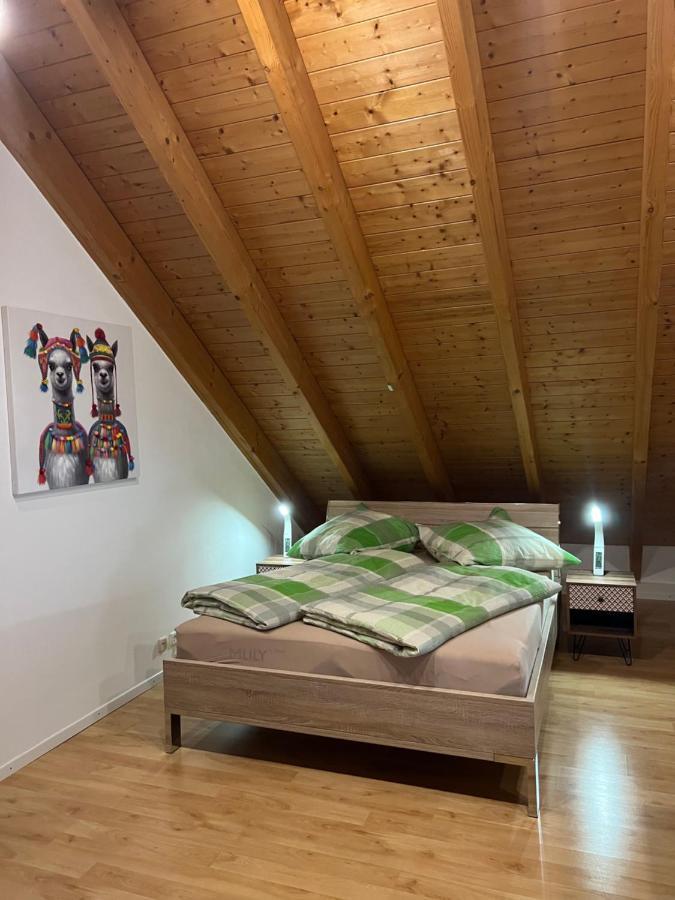 Ferienwohnung Zentral In Loerrach - Konus Gaestekarte Inklusive Exterior foto